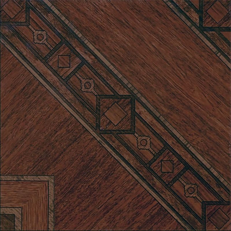 Imagen-02