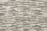 imagen-02