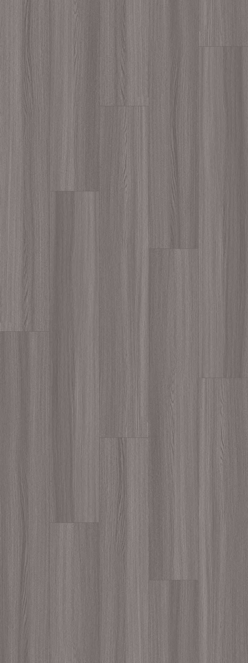 imagen-03