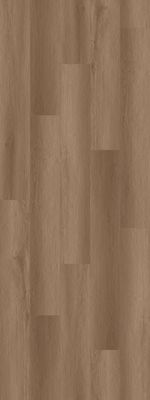 imagen-03
