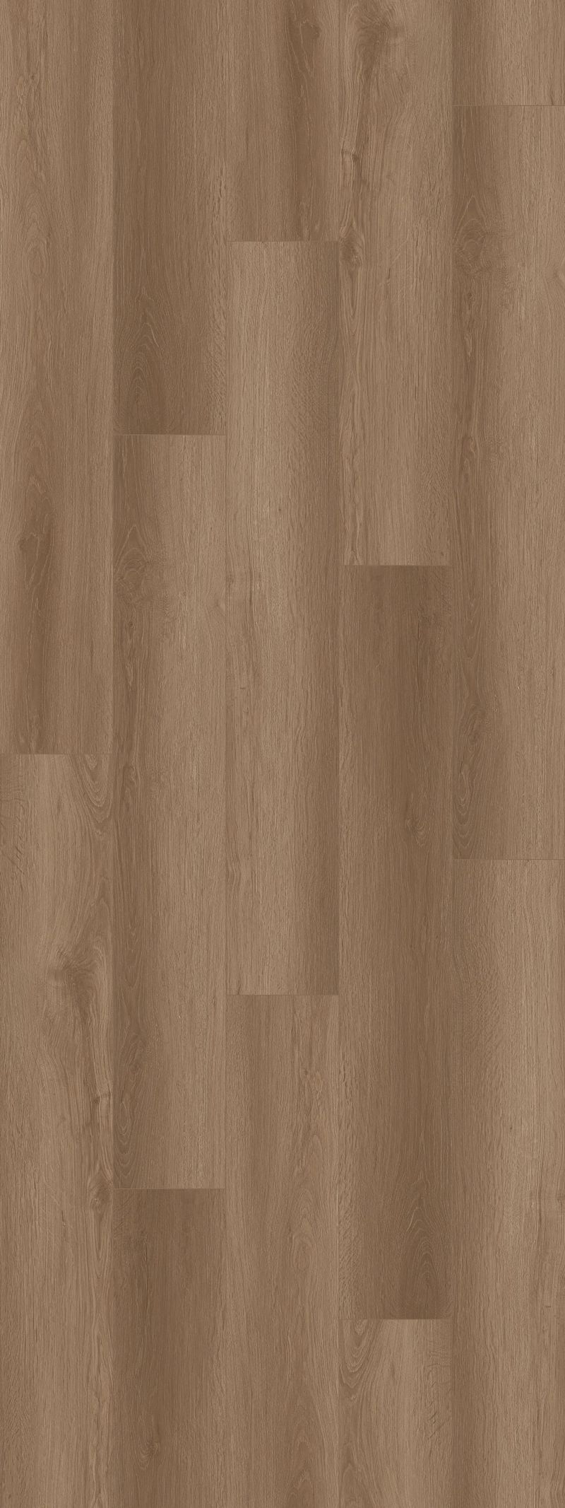 imagen-03