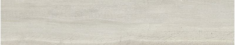 imagen-14