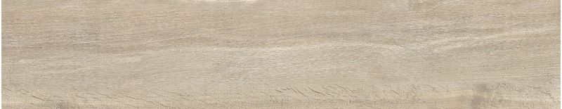 imagen-07