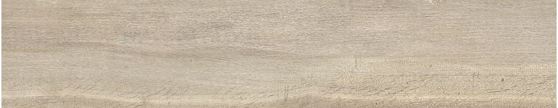 imagen-14