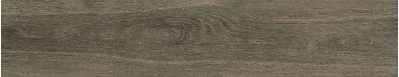 imagen-04