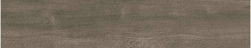 imagen-05