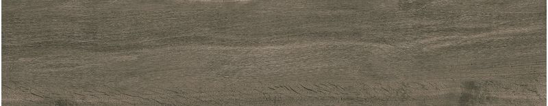 imagen-07