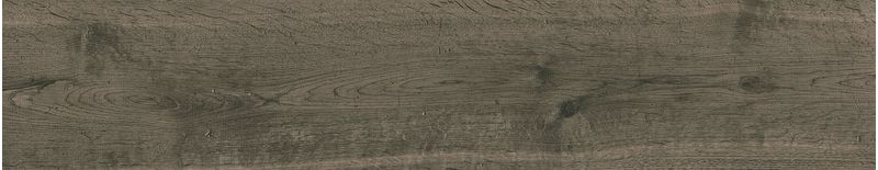 imagen-08