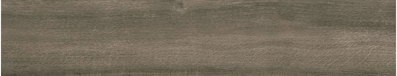 imagen-12