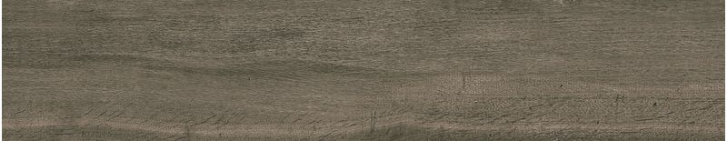 imagen-14